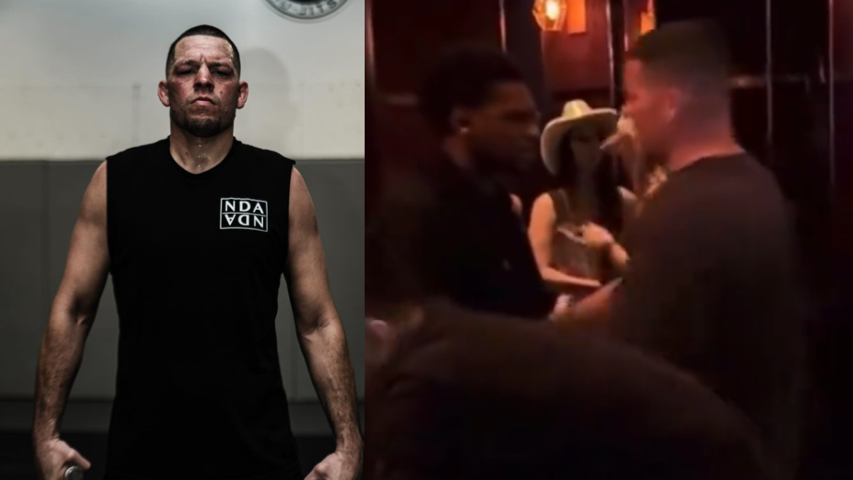 nate diaz fight